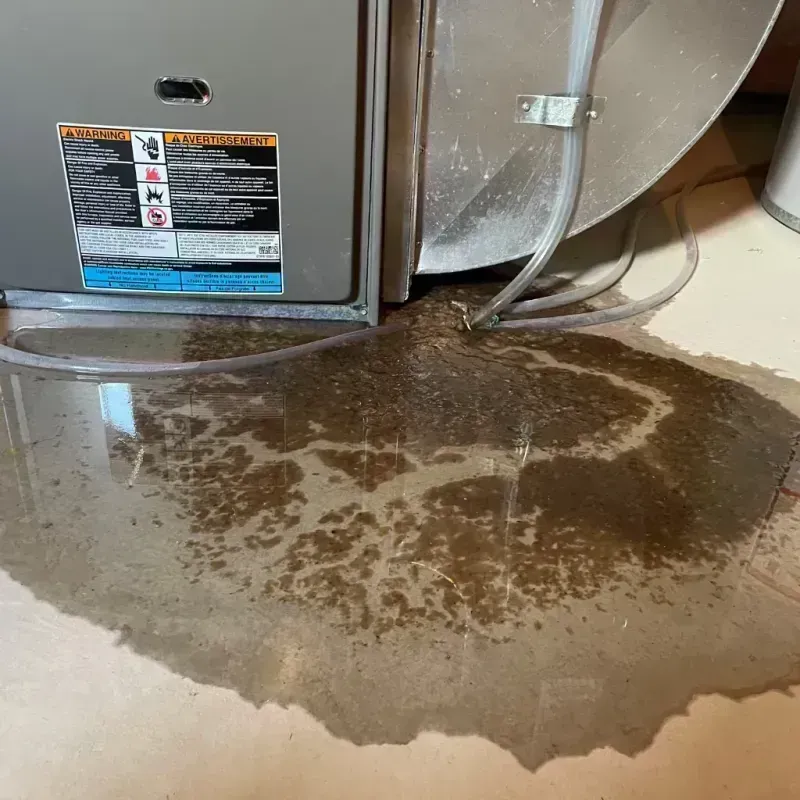 Appliance Leak Cleanup in Weimar, TX